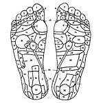 reflexologie plantaire 7